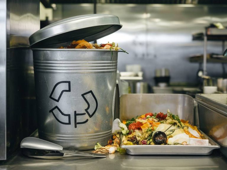 Créer un programme de compostage des déchets alimentaires dans le secteur de la restauration d’entreprise