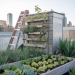 Les bénéfices de l’agriculture urbaine pour vos locaux : comment installer un potager sur le toit de vos bureaux